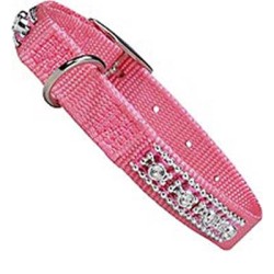 Dog Leads